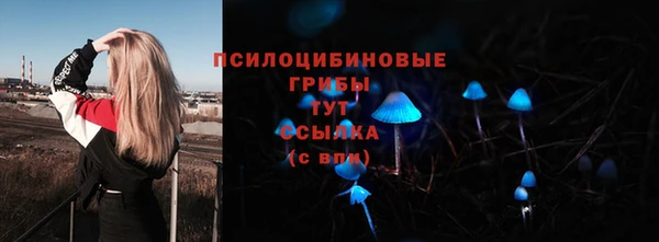 гашишное масло Абинск