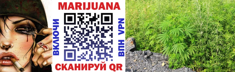 магазин продажи наркотиков  Щучье  Марихуана THC 21% 